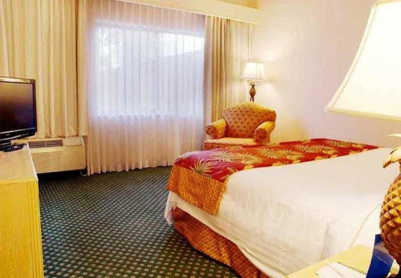 Courtyard By Marriott Fort Lauderdale Coral Springs Dış mekan fotoğraf